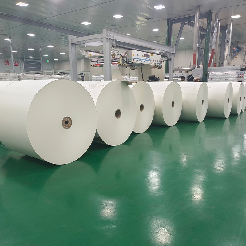 PE Coated CupStock papirruller